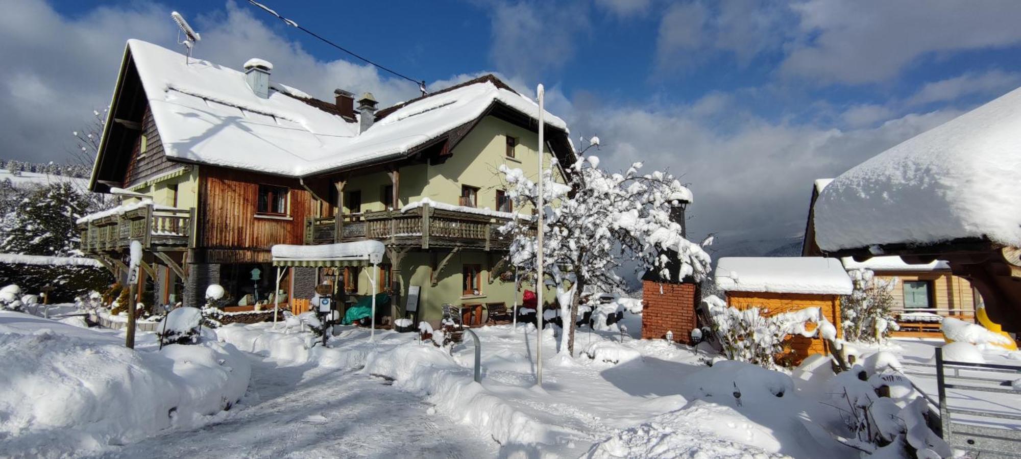 Les 4 Saisons Hotel Kruth Exterior photo
